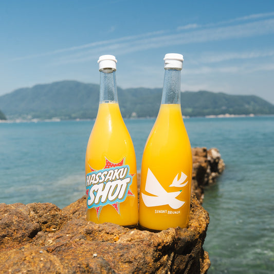 HASSAKU SHOT：ドリンク2本