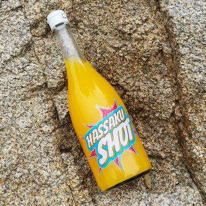 HASSAKU SHOT：ドリンク2本